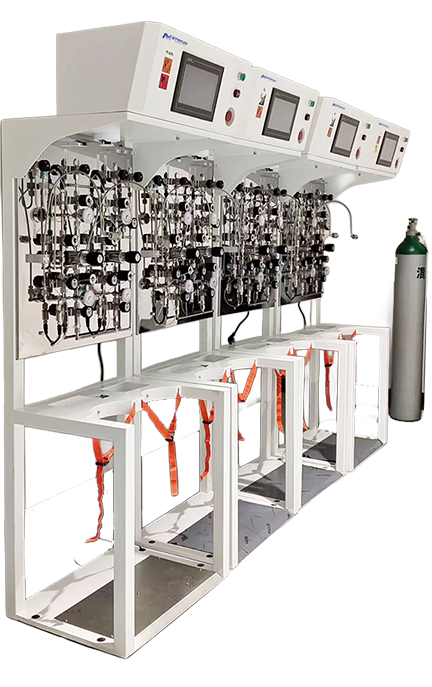 MFS Gas Cabinet