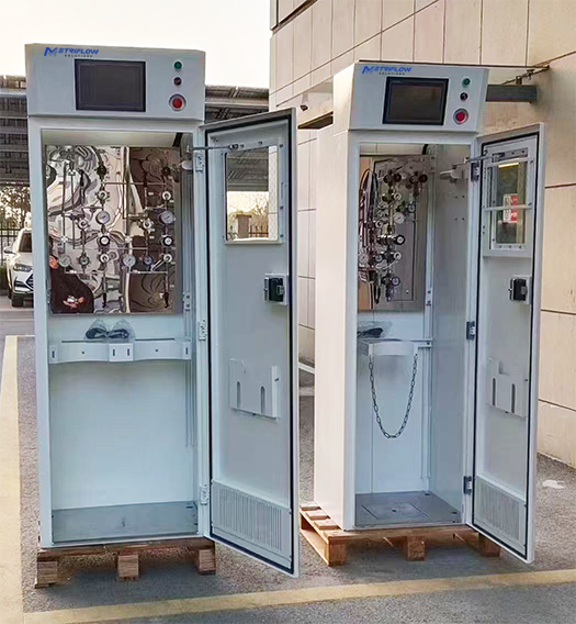 MFS Gas Cabinet